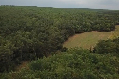 Orman Yangınlarına Karşı Drone Destekli Denetim