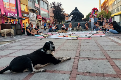 Edirne’deki Eylemde Sokak Hayvanları da Oturdu