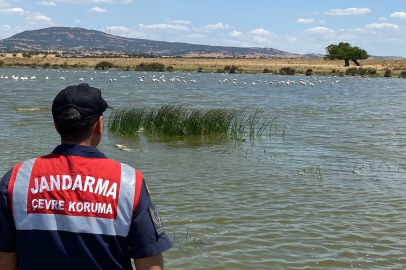 Edirne’de Jandarmadan Gala Gölü Milli Parkı’nda Denetim