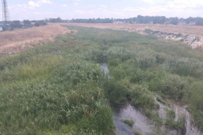 Kanal Edirne Boş Yatırım mı?