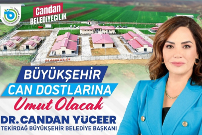 Büyükşehir Can Dostlarına Umut Olacak