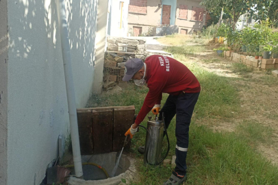 Keşan’da Larvasit ile Mücadele Çalışmaları Sürüyor