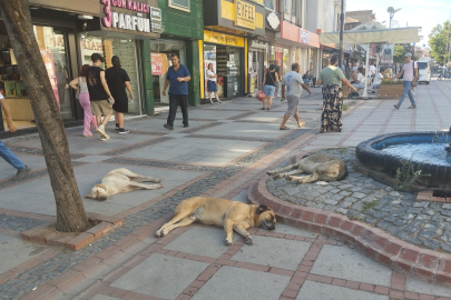 Saraçlar’da Gölgenin Keyfini Çıkardılar