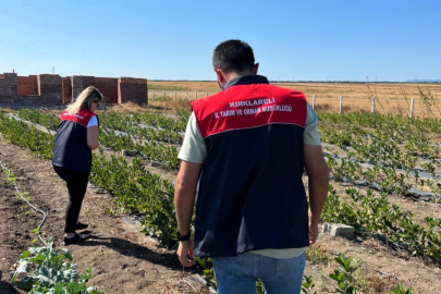 Vize’de Aronya Üretim Kontrolü