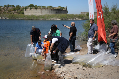 Çanakkale'deki Baraj ve Göletlere 1 Milyon 750 Bin Sazan Yavrusu Bırakıldı