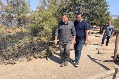 Çanakkale’de Yangından Zarar Gören Bölge Doğal Görünümüne Kavuşturulacak