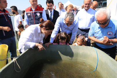 Edirne'de Üretilen 10 Milyon Yavru Sazan Balığı Baraj ve Göletlere Bırakıldı