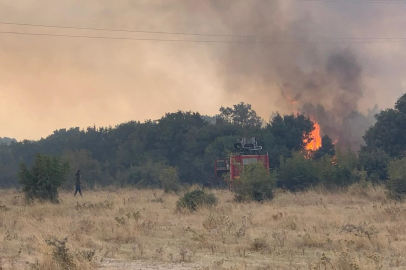 Edirne’de Orman Yangını Anızlık Alana Sıçradı: 2 Baraka Zarar Gördü