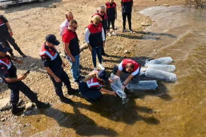 Kırklareli'nde Gölet ve Barajlara 205 Bin Sazan Yavrusu Bırakıldı