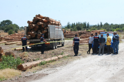 Üzerine Tomruk Düşen Sürücü Öldü