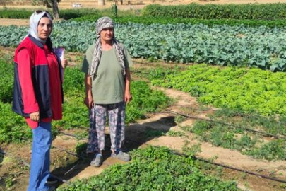 Kırklareli Tarım ve Orman Müdürlüğü'nden Babaeski’de Çiftçi Ziyareti