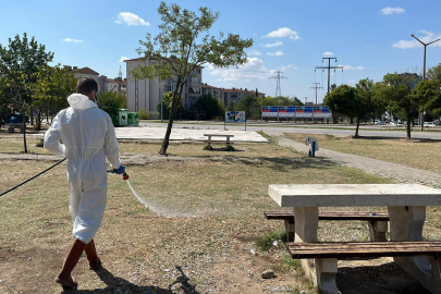 Edirne Belediyesi Haşere İlaçlama Çalışmalarına Devam Ediyor