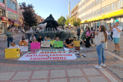 Edirne’deki Eylemde Narin Güran Anıldı