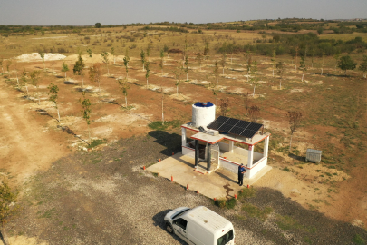 Üsküp Belediyesi'nden Ağaçlandırma ve Çevre Düzenlemesi Atağı