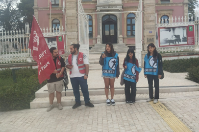 Öğrencilerden Belediyeye Sokak Hayvanları Tepkisi