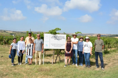 Tekirdağ'da Yeni Üzüm Çeşitleri Geliştiriliyor