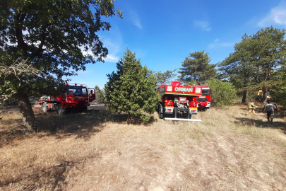 Edirne'de Ormanlık Alana Sıçrayan Anız Yangını Söndürüldü