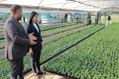 Edirne'nin Parkları Sonbaharda Çiçek Açacak