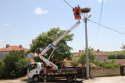 TREDAŞ, Doğal Yaşamı Koruma Çalışmalarını Vurguladı