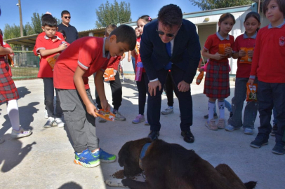 Gelibolulu Öğrenciler Barınaktaki Köpekleri Besledi