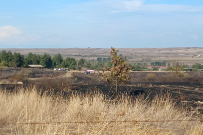 Tekirdağ'da Ağaçlık Alanda Çıkan Yangın Söndürüldü