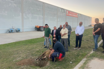 İpsala Belediyesi’ne Ait Lisanslı Depo Çeltik Alımına Başladı