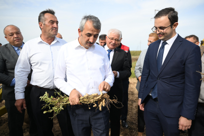 Meriç Yer Fıstığı Zincir Marketlerde Satışa Sunuldu