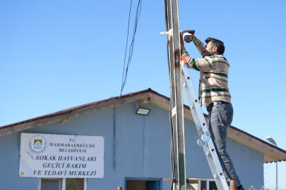 Marmaraereğlisi’nde Geçici Hayvan Bakım ve Tedavi Merkezi'ne Güvenlik Önlemi