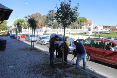 Edirne’de Eski Camii Çevresine Fidan Dikimi Gerçekleştirildi