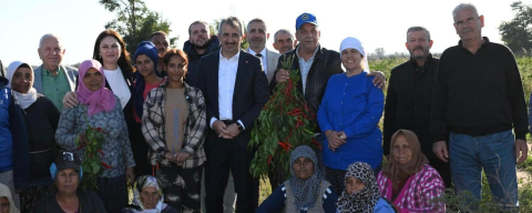 Vali Sezer Karaağaç Acı Biberinin Hasadına Katıldı