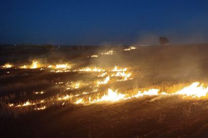 Kırklareli'nde Çıkan Anız Yangını Söndürüldü