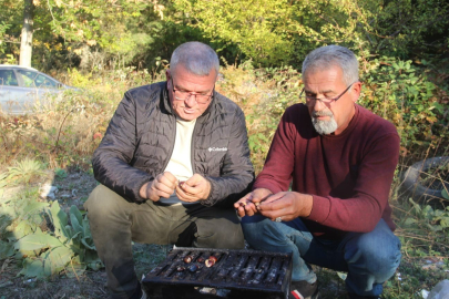 Kaz Dağları'nda Kestane Sezonu Başladı