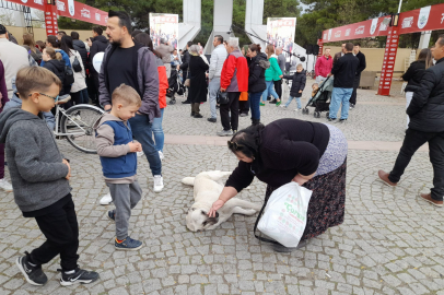 Trik, Edirne’deki Festivalin İlgi Odağı Oldu