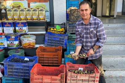 “Bu Yıl Zeytin Hem Çok Hem Yok”