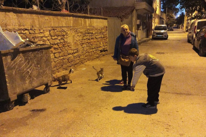 Dünyanın Düzeni Değişti: Kediyle Fare Yan Yana Yemek Yiyor