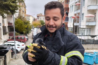 Ağaçta İpe Dolanıp Mahsur Kalan Kargayı İtfaiye Kurtardı