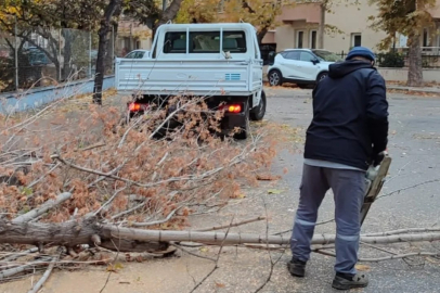 Kırklareli Belediyesi'nden Kış Hazırlığı