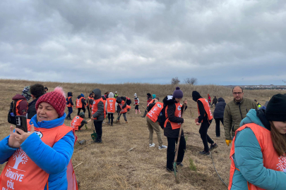 Lüleburgaz’da Fidanlar Toprakla Buluştu