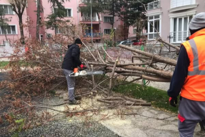 Kırklareli Belediyesi’nden Kuvvetli Rüzgar Müdahalesi