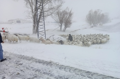 Sürüsü İle Mahsur Kalan Çobanı Özel İdare Ekipleri Kurtardı