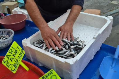 Tekirdağ'da En Ucuz Hamsi 100 Liradan Satılıyor