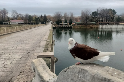 Edirne’de 4 Aralık 2024 Çarşamba Günü Hava Durumu