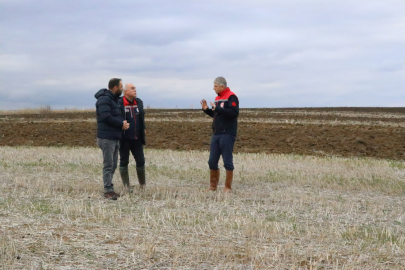 Edirne’de Ayçiçeği Üretiminde Verimliliği Artırmak İçin Yeni Çalışma Başlatıldı