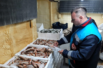 Kırklareli’nde Hamsi Kota Denetimleri Devam Ediyor