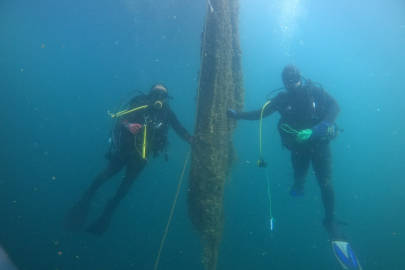 Çanakkale'de 500 Bin Metrekare Alan, Hayalet Ağlardan Temizlendi