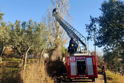 Şarköy Belediyesi’nden Kent Genelinde Yoğun Çalışmalar