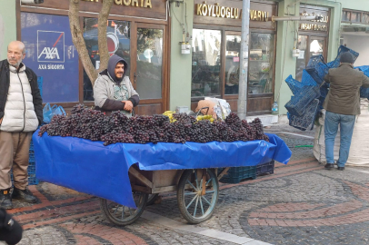 12 Üzüm Ritüeli Edirne'de