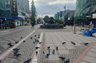 Edirne'de Soğuk Hava Yerini Ilık Günlere Bırakacak