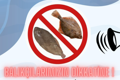 Dil ve Pisi Balığı Avcılığına Geçici Yasak