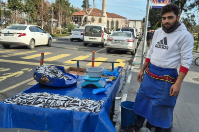 Tekirdağ'da Hamsi ve İstavrit 100 Lira